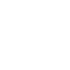 Icon Motor